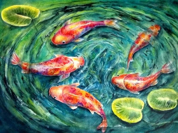 Радужные карпы