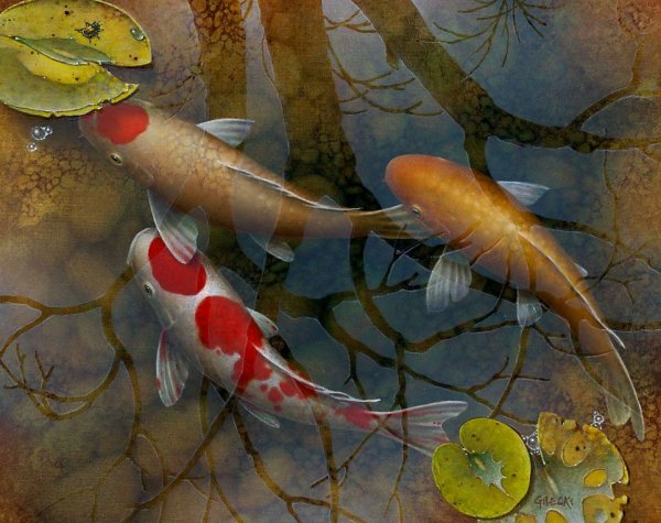 Карпы кои картина