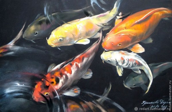 Карпы кои акварель гиперреализм