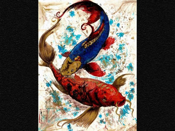 Карп кои Япония