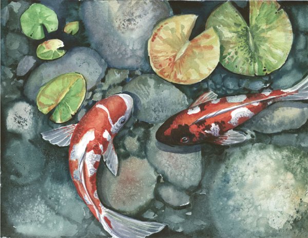 Рыбы кои акварель