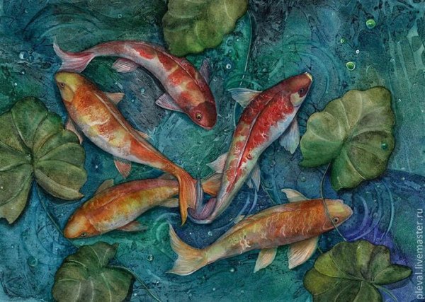 Японские карпы кои картины Каданцева