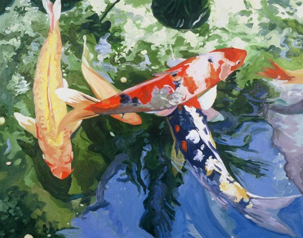 Китайский Карп кои