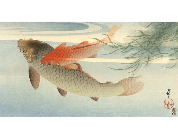 Охара Косон золотые рыбки