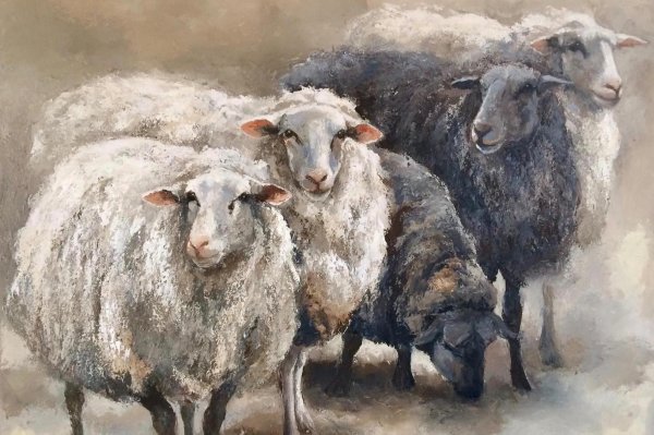 Sheep Art