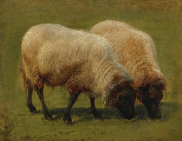 Чарльз.Мауранд 1878 овцы