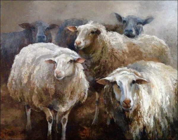 Картина овцы