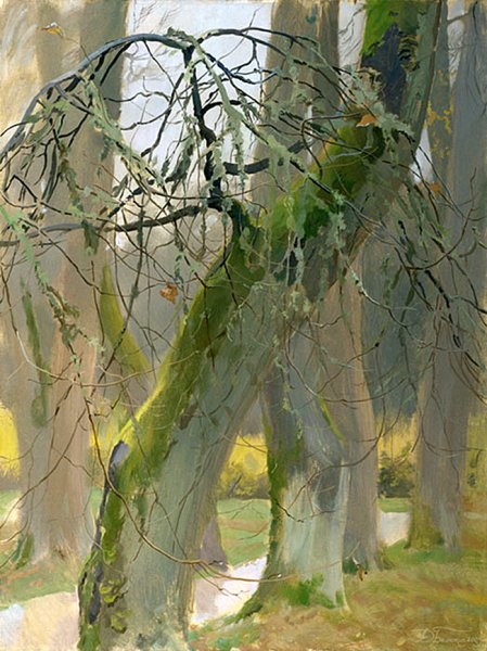 Николай Петрович Крымов зима крыши