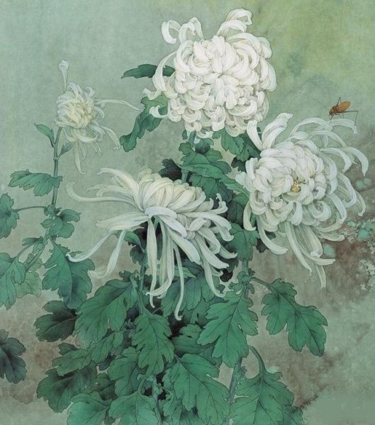 Гунби хризантемы