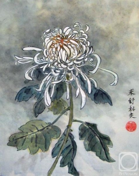 Китайская Хризантема