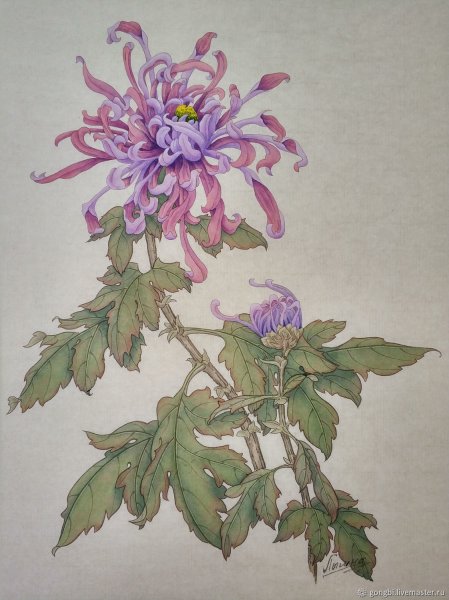 Гунби хризантемы