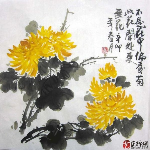 Китайская живопись хризантемы акварелью