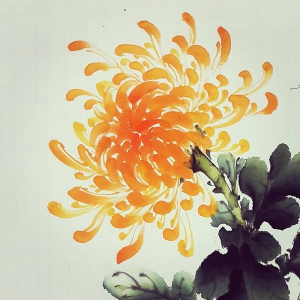 Хризантемы китайская акварель