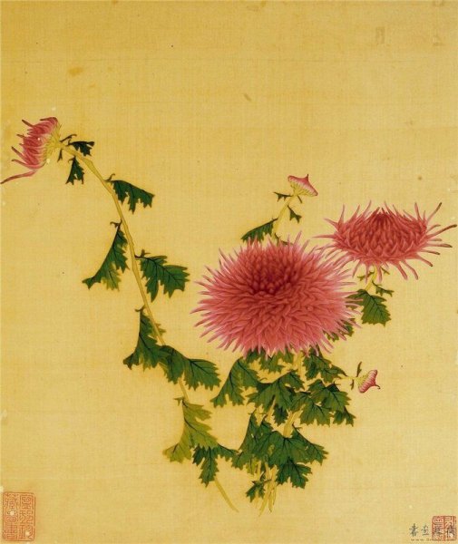 Хокку Хризантема