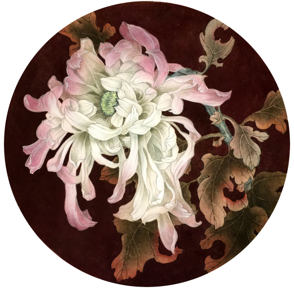 Гунби хризантемы