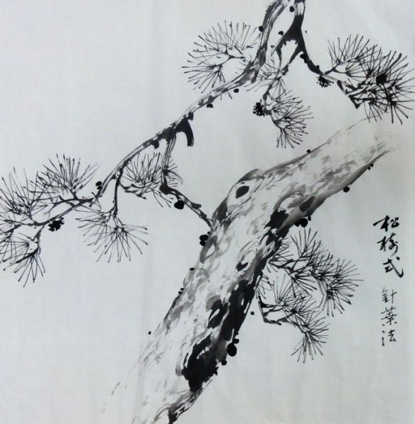 Японские сосны сумиэ