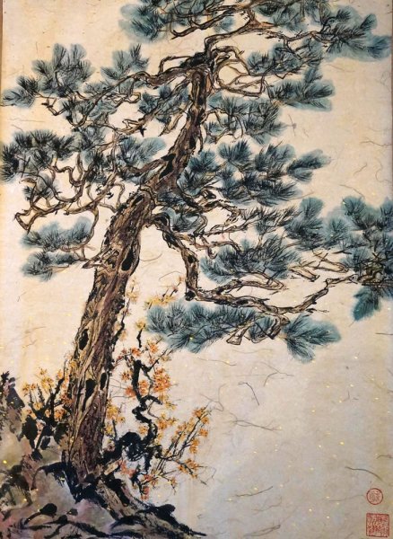 Сосна гохуа