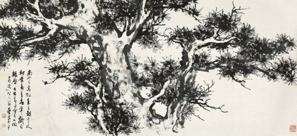 Сосна древняя китайская живопись