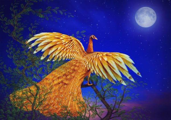 Сказочная птица