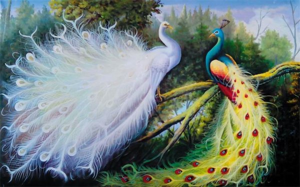 Павлин алмазная вышивка диамондс