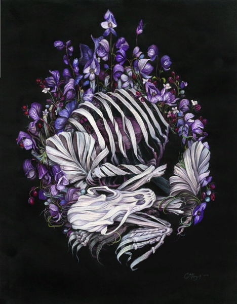 Картины ракушки интерьерные