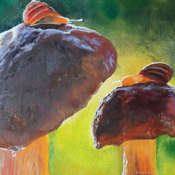 Грибы картина