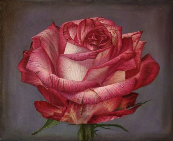 Джоаккино Россини художник