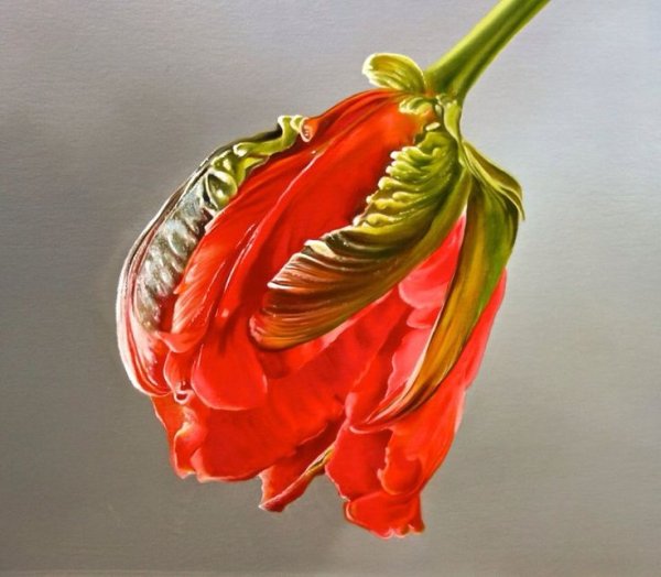 Художник Тжальф Спарнаай Tjalf Sparnaay