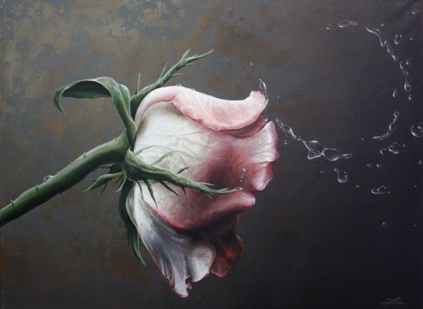 Цветы на темном фоне живопись