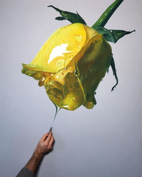 Гиперреализм цветы