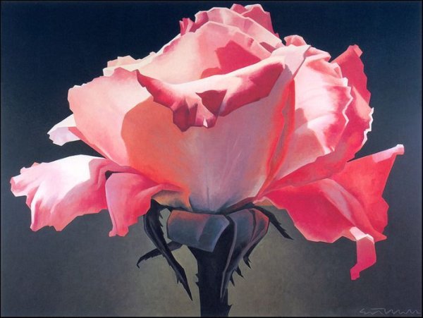 Австралийская художница Maureen Bainbridge