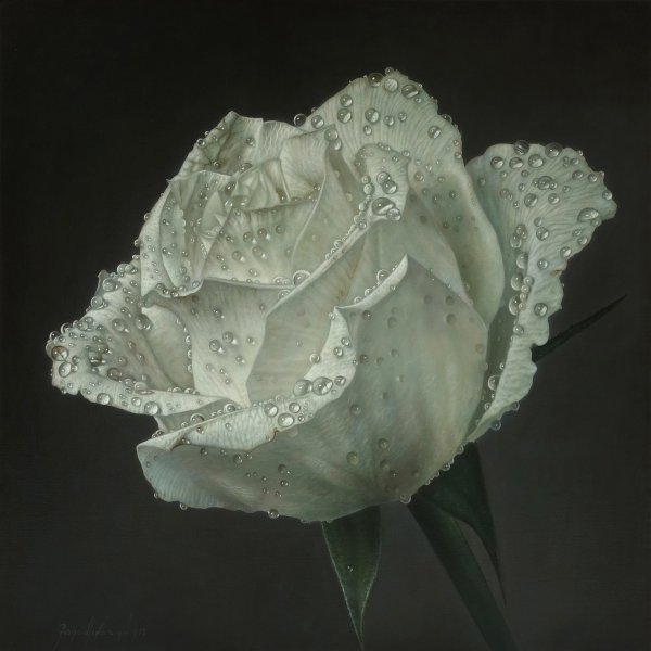 Джоаккино Россини роза