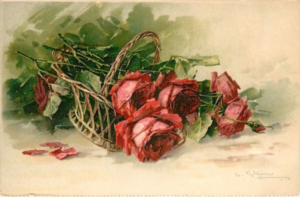 Катарина Кляйн розы