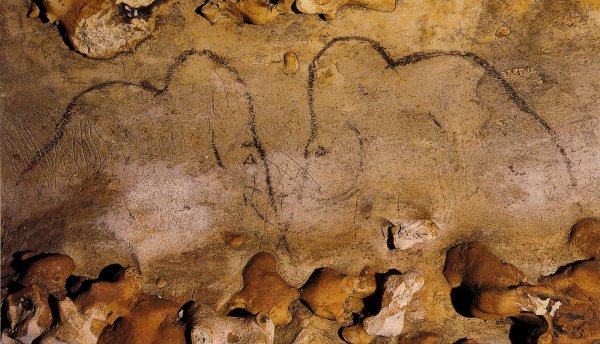 Пещера Шове Франция наскальные рисунки