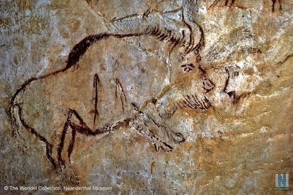 Пещера Марсула раковина