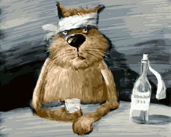 Анатолий Ярышкин и его душевные коты