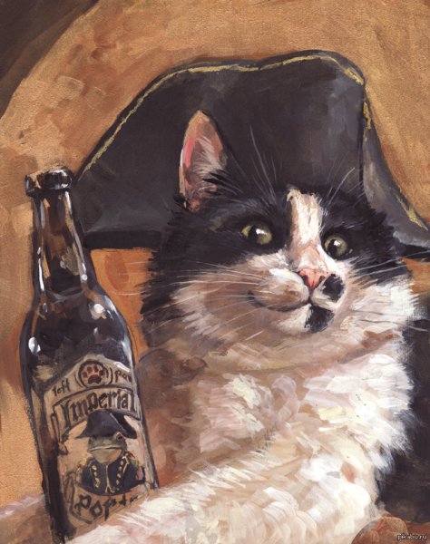 Коты и алкоголь