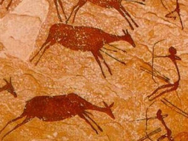 Охота на оленей ущелье Валлторта Испания