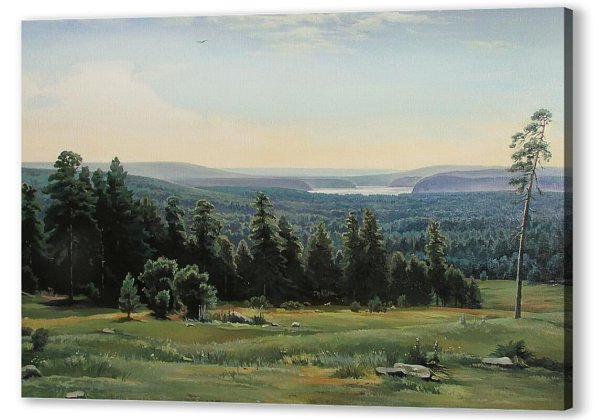 Картина Шишкина Лесные дали