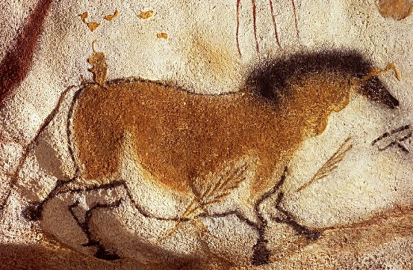 Пещера Шове Наскальная живопись