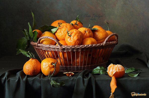 Картины живопись Елена Татульян