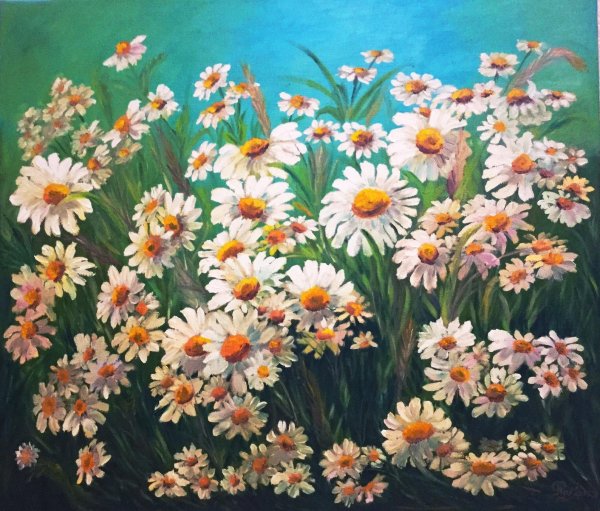 Картина Ромашковое поле Комарова Николая