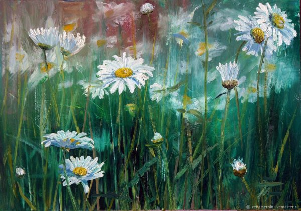 Ромашки живопись маслом