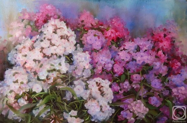 Светлана Разумова Флоксы