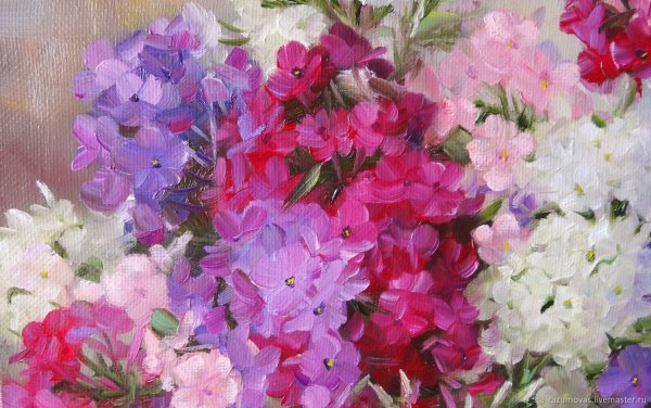 Флоксы Никитиной Галины