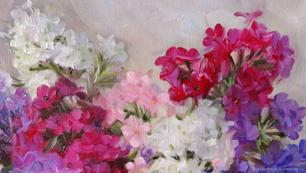 Светлана Родионова живопись Флоксы