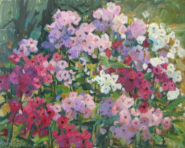 Художник Воробьева Ольга картины Флоксы