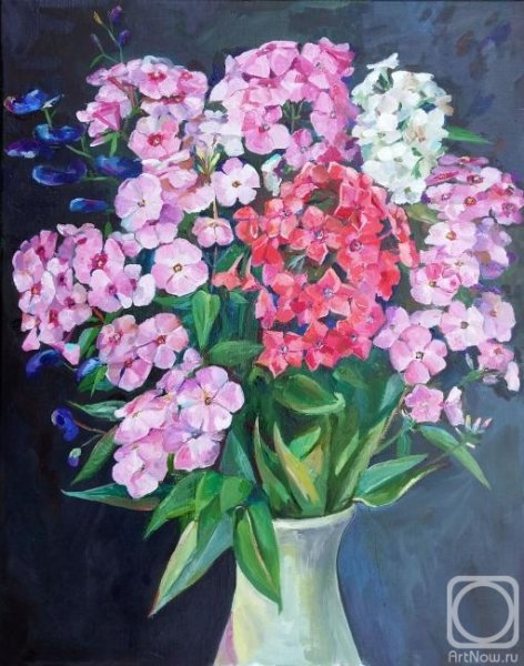 Юлия Жукова Флоксы