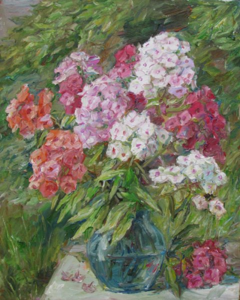 Родионова Флоксы