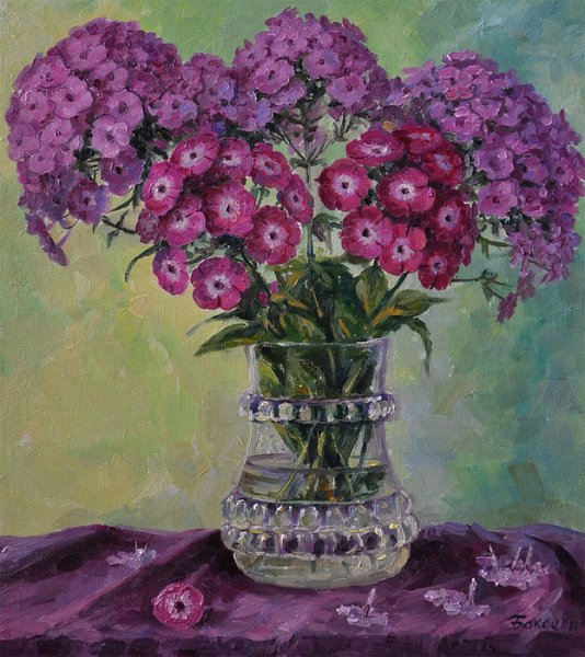 Андрияка Флоксы